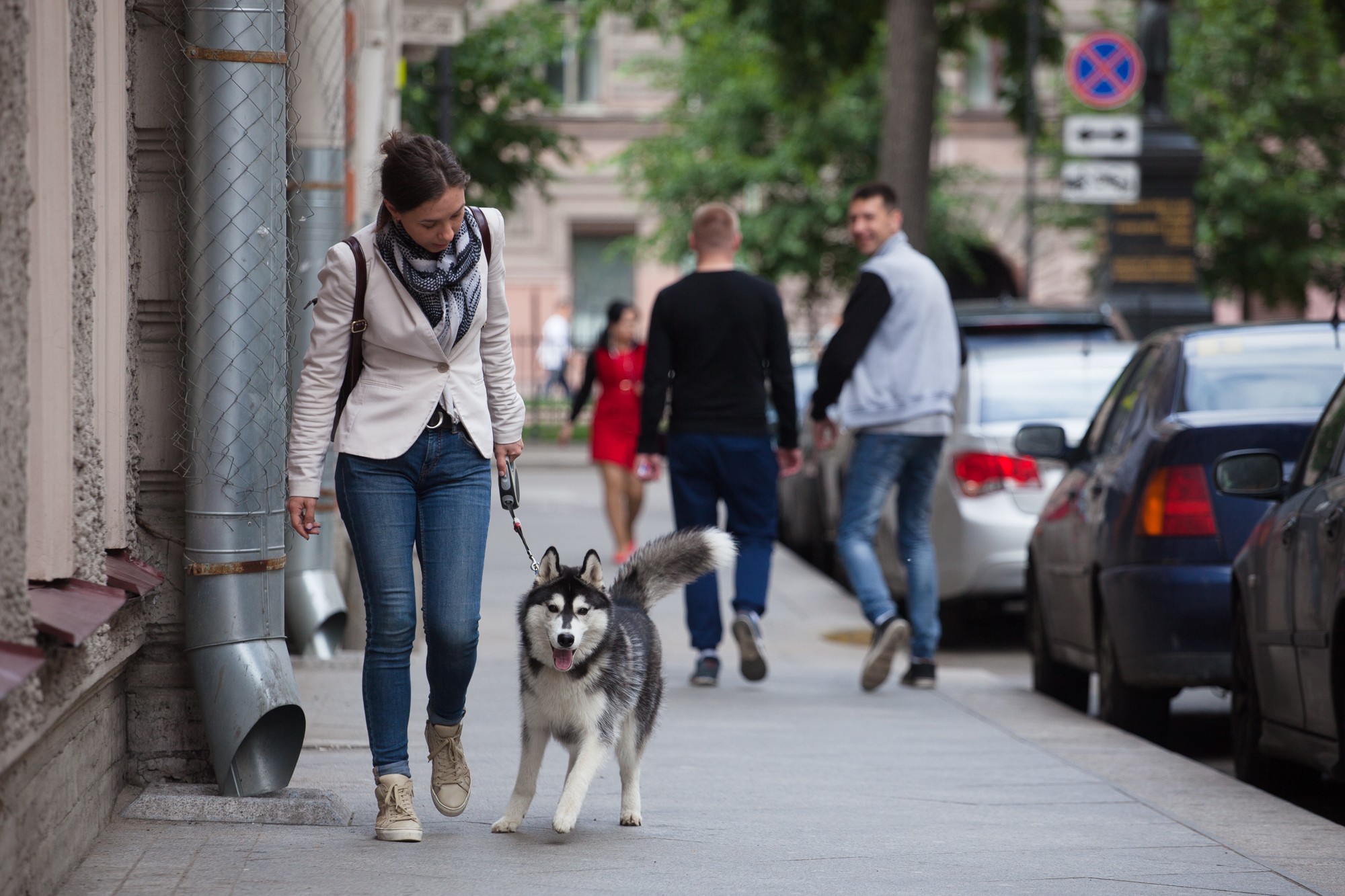 В Ростове запретили выгуливать собак на детских площадках и стадионах - фото 1